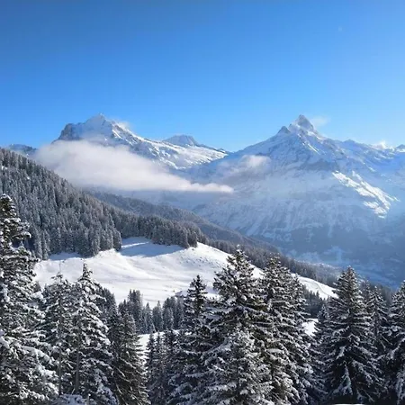 Chalet Stieregg, Studio Ost Apartment Grindelwald